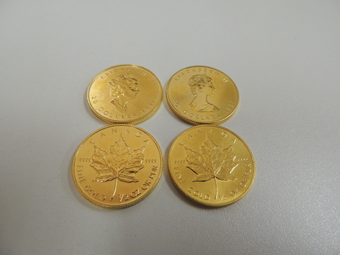 DSCN3555.jpg